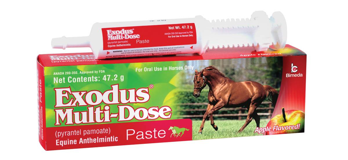 Pfizer Health Strongid C2X Daily Horse Dewormer