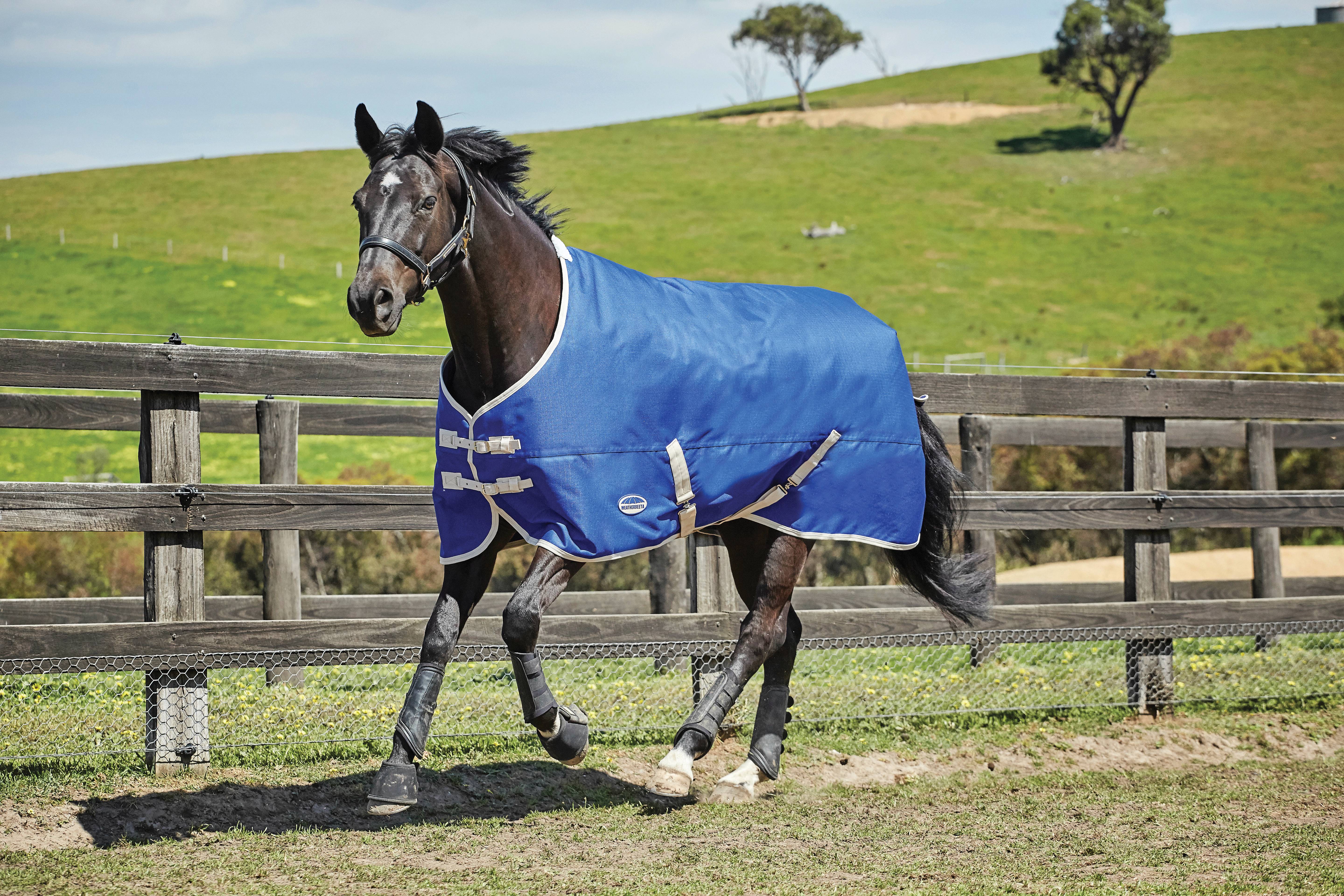 WEATHERBEETA Genero 1200d 220 g combo-coperta pour cheval, moyen