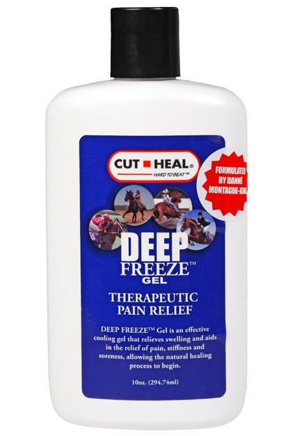 UPC 748118227017 product image for Manna Pro Deep Freeze Gel Therapeutic Pain Relief | upcitemdb.com