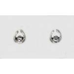Finishing Touch Earrings