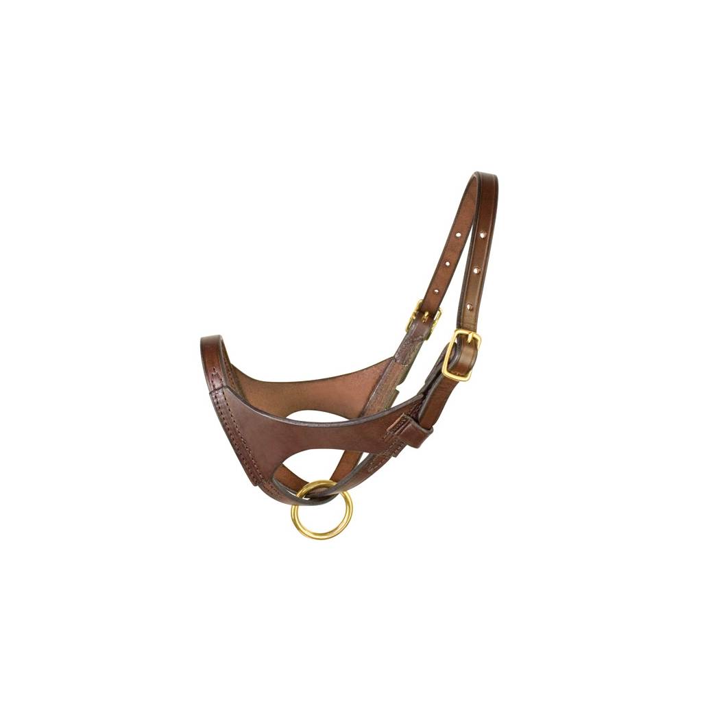 Perri's Premium Leather Foal Halter