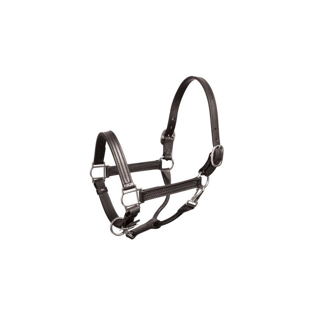 Perri's Premium 1" Leather Show Halter