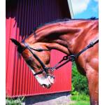 HorZe Horse Training Aids