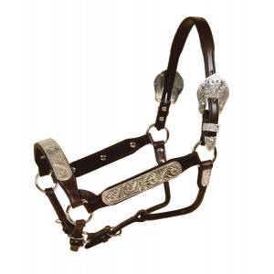 Tory Leather Congress Style Show Halter - Rochester Plates
