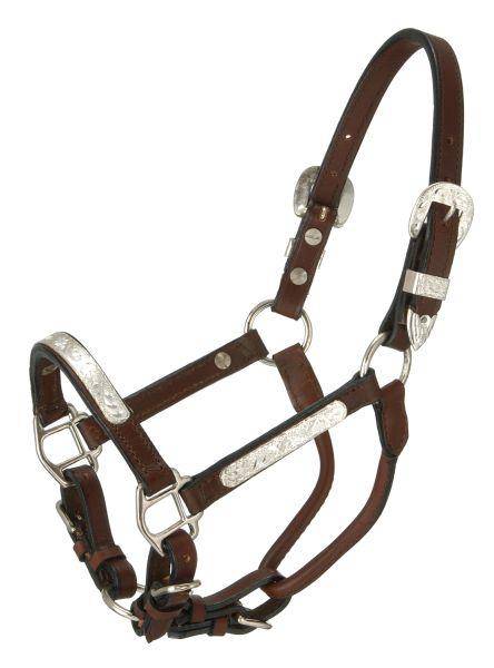 ROYAL KING Royal King Silver Bar Show Halter sku ROYAL KING