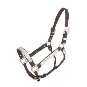 Royal King Raised Star Show Halter