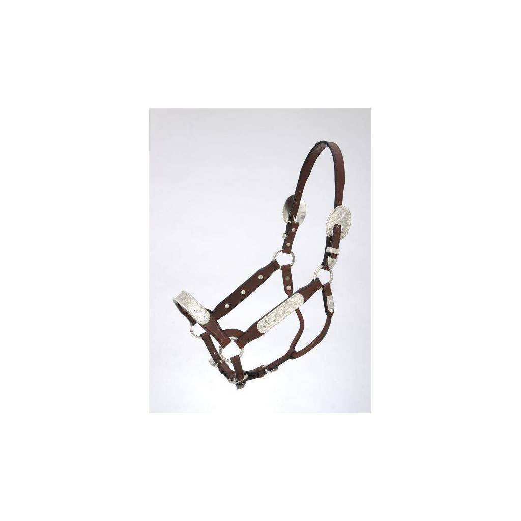 Royal King Congress Show Halter