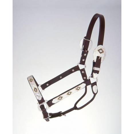 Royal King Gold & Black Silver Show Halter