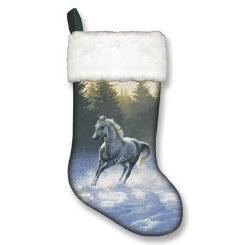 Winter Christmas Holiday Stocking