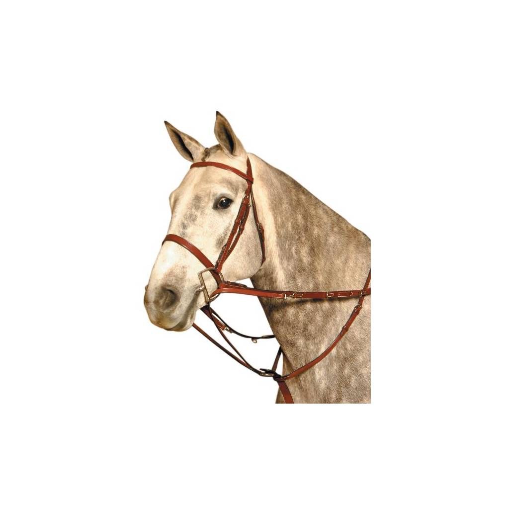 Kincade Martingale Rein Set