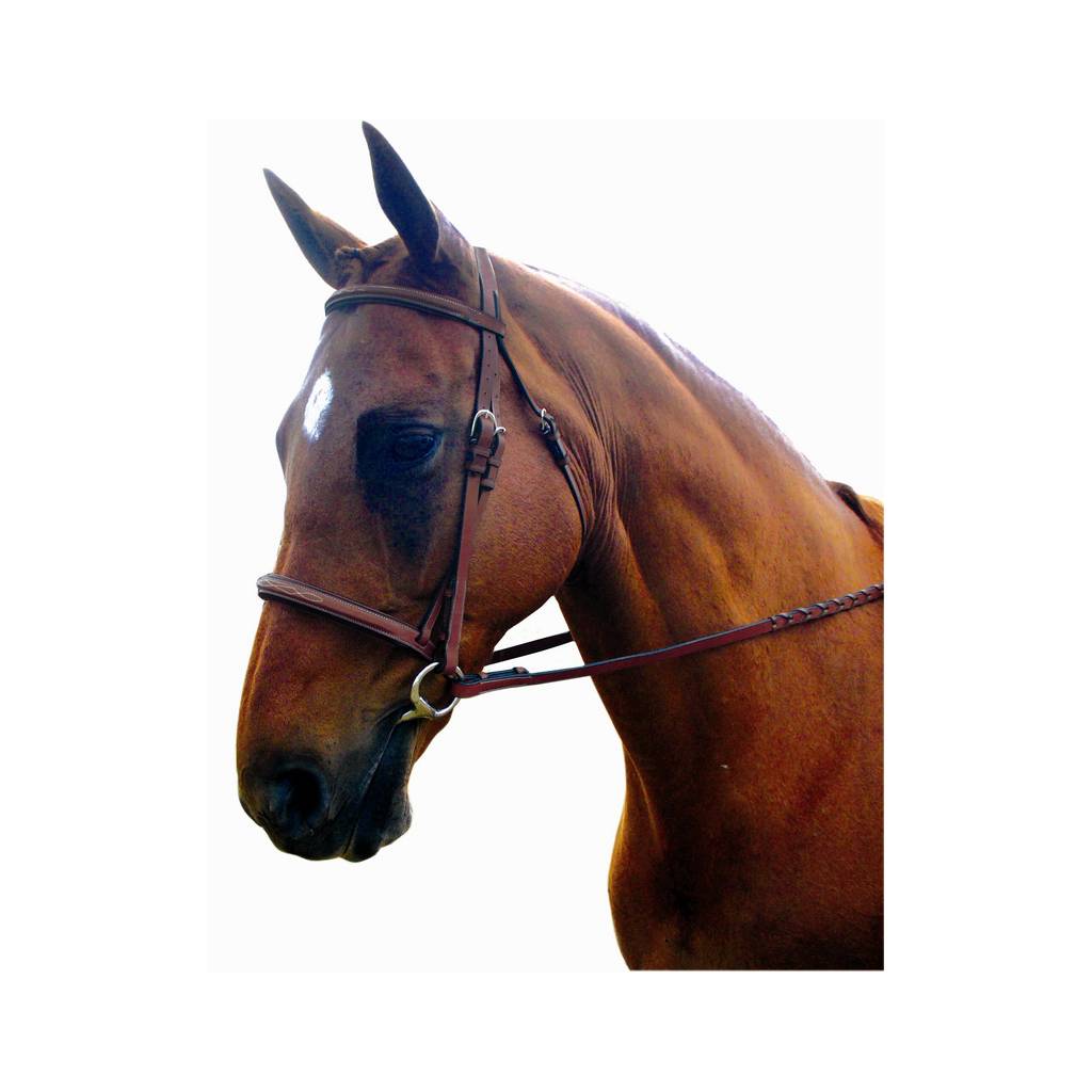 Kincade Raised Padded Fancy Stitch Bridle