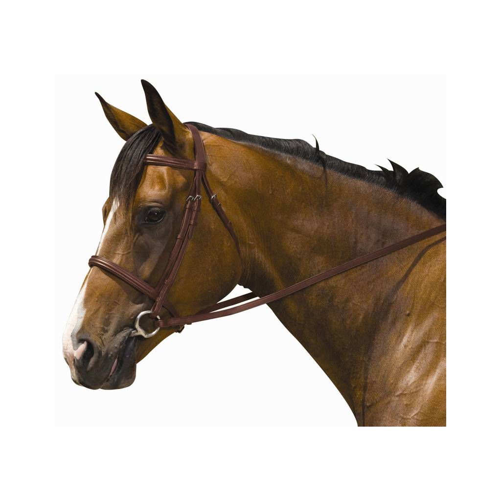 Kincade Padded Plain Raised Bridle