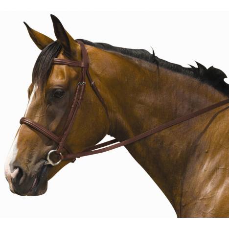 Kincade Padded Plain Raised Bridle