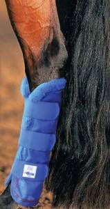 horse leg wraps for fly protection