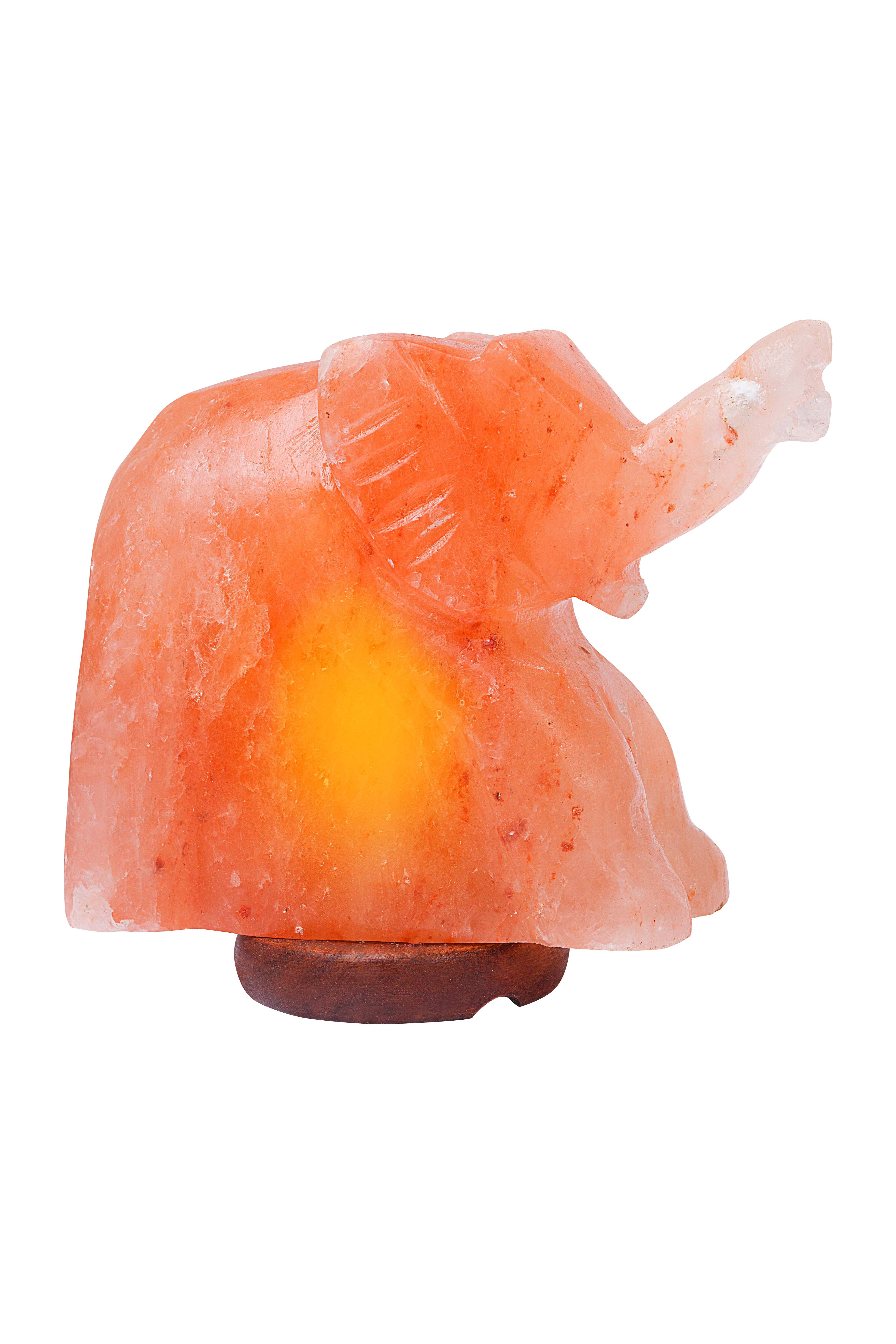 Himalayan Rock Salt Elephant Lamp