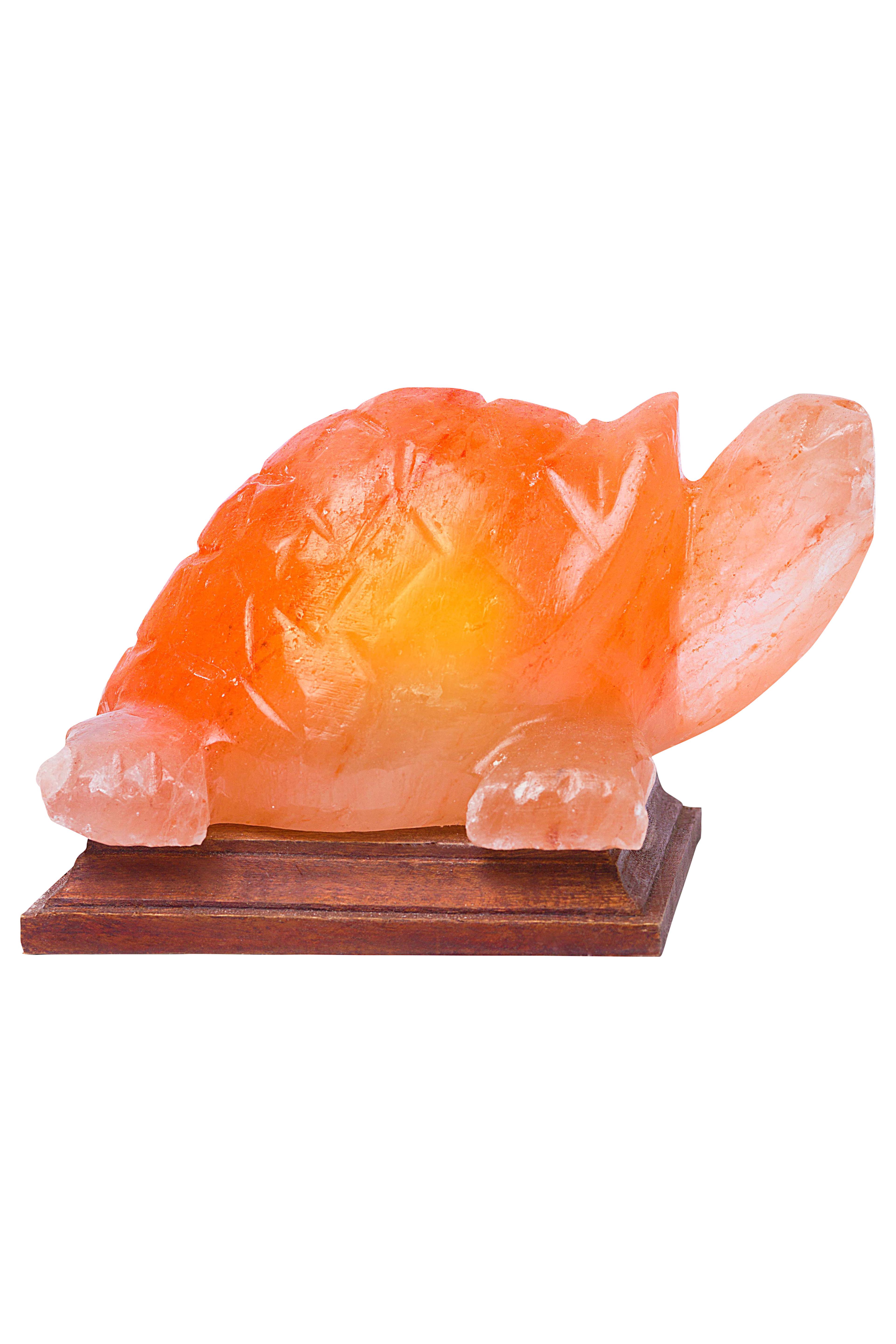 Himalayan Rock Salt Turtle Lamp