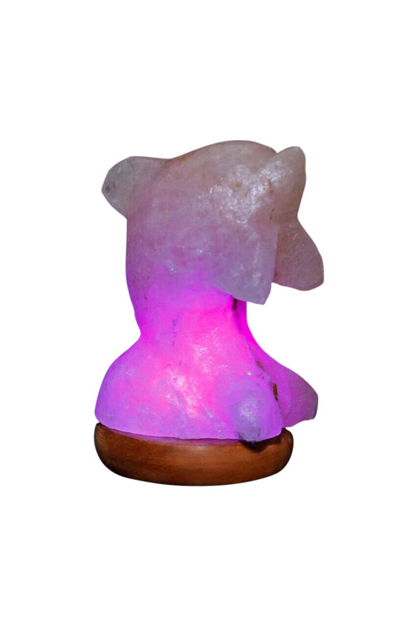 5-950922 Himalayan Rock Salt Mini Dolphin Lamp sku 5-950922