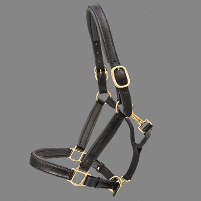 ThinLine Padded Leather Halter