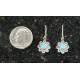 Finishing Touch Flower Shaped Swarovski Crystal & Turquoise Earrings - Euro Wire