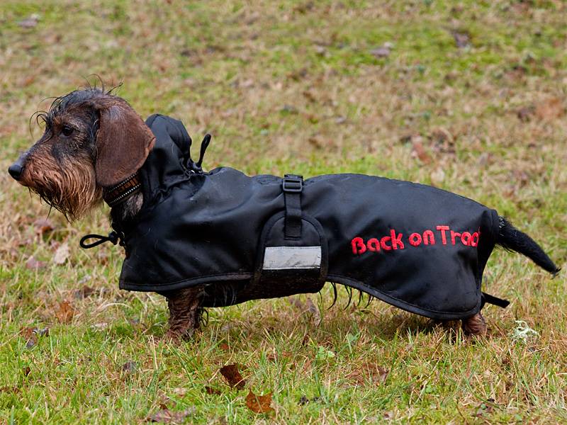 back on track therapeutic regular dog coat