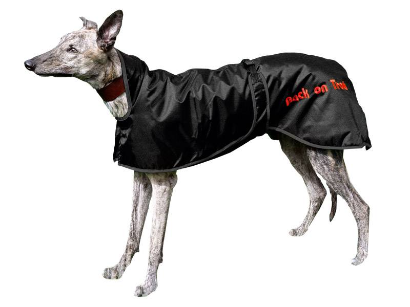 5-535132 Back On Track Grey Hound Regular Dog Blanket sku 5-535132