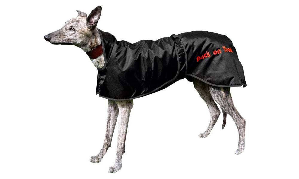 Back On Track Regular Therapeutic Greyhound Dog Blanket