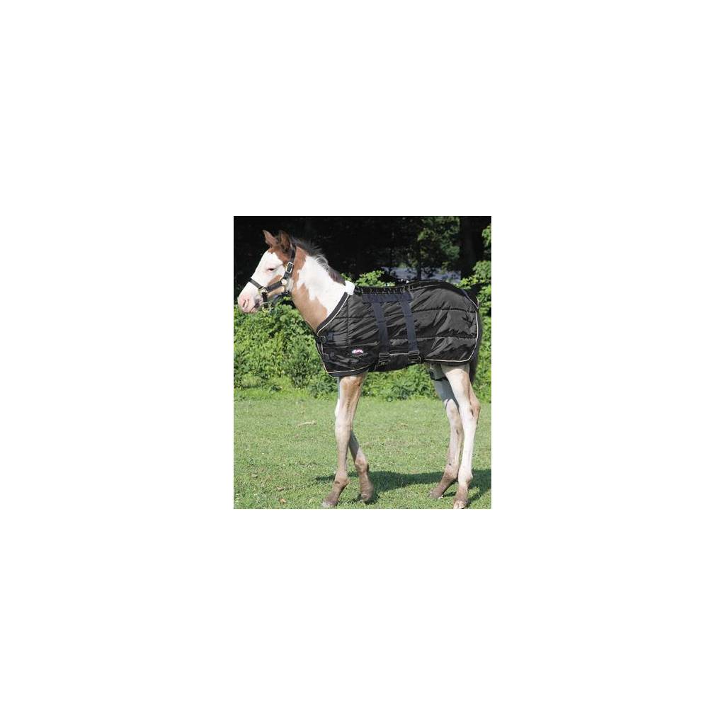 Weaver Foal Midweight Stable Blanket