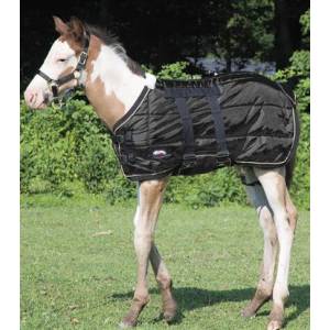 Weaver Foal Midweight Stable Blanket