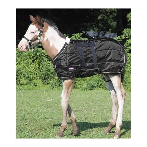 Weaver Foal Midweight Stable Blanket