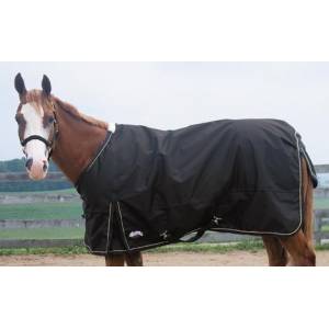 Weaver Midweight Horse Turnout Blanket