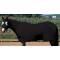 Weaver EquiSkinz Lycra Sheet