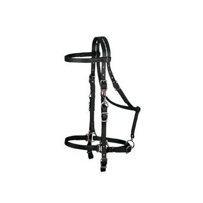 Weaver Synthetic Halter Bridle