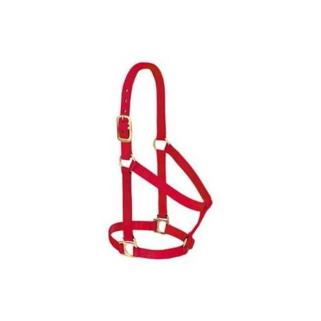 Weaver Basic Non-Adjustable 1" Nylon Halter