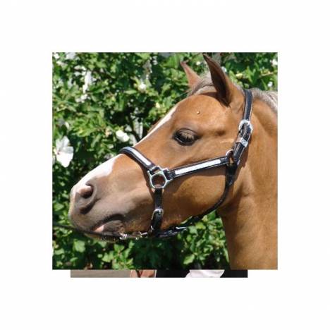 Ozark Premium Silver Perform Mini/Pony Halter