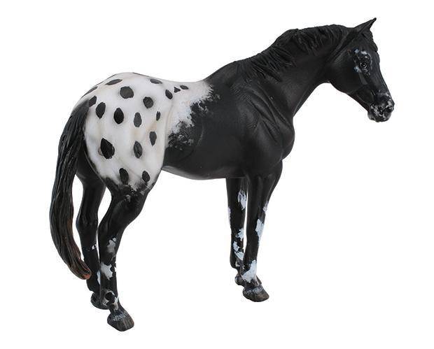 Breyer by CollectA - Black Appaloosa Stallion