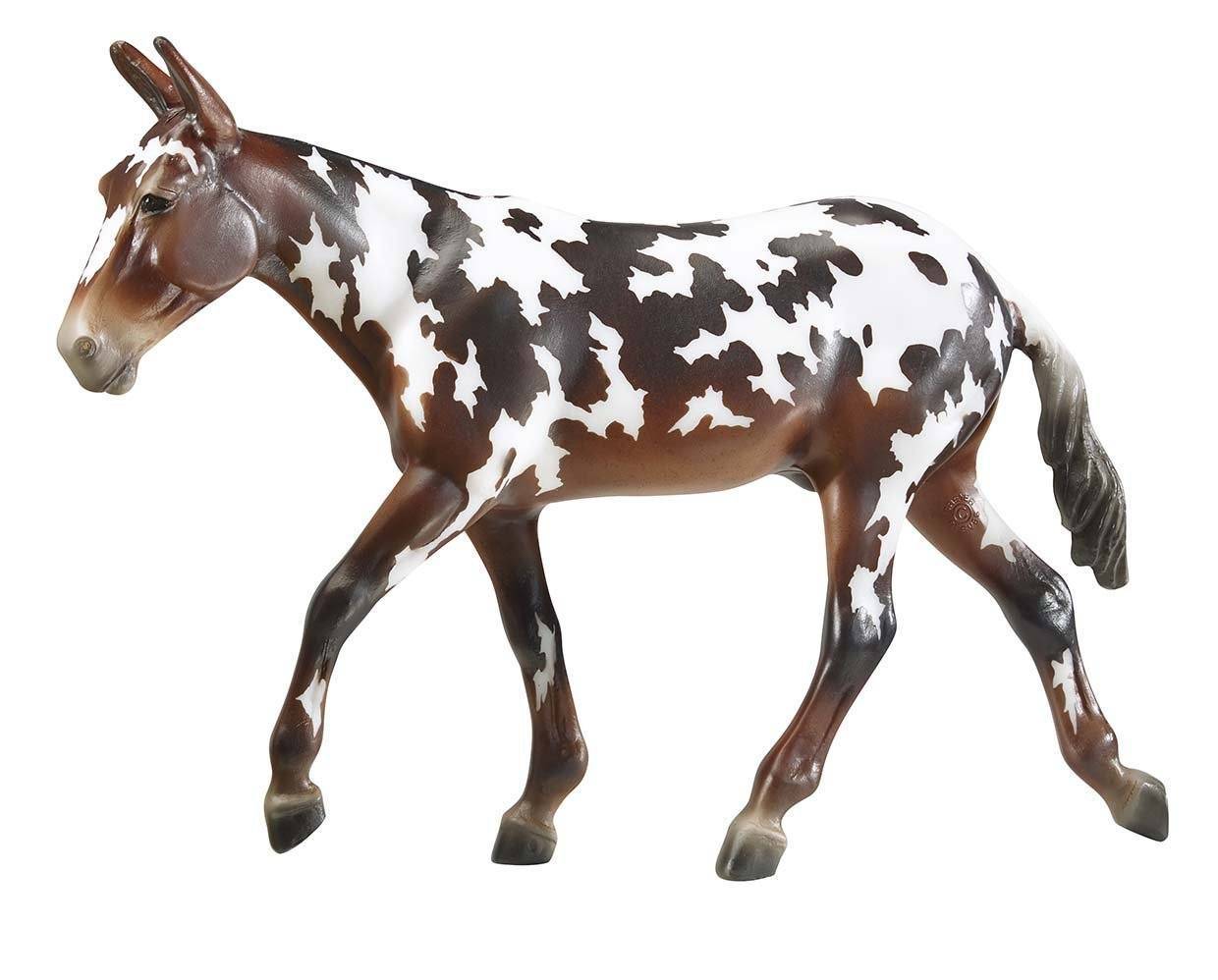 Breyer Buckeye 2019