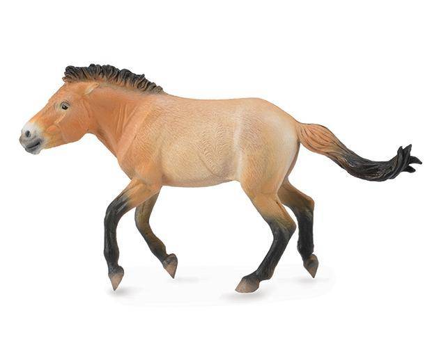 Breyer by CollectA - Przewalski Stallion