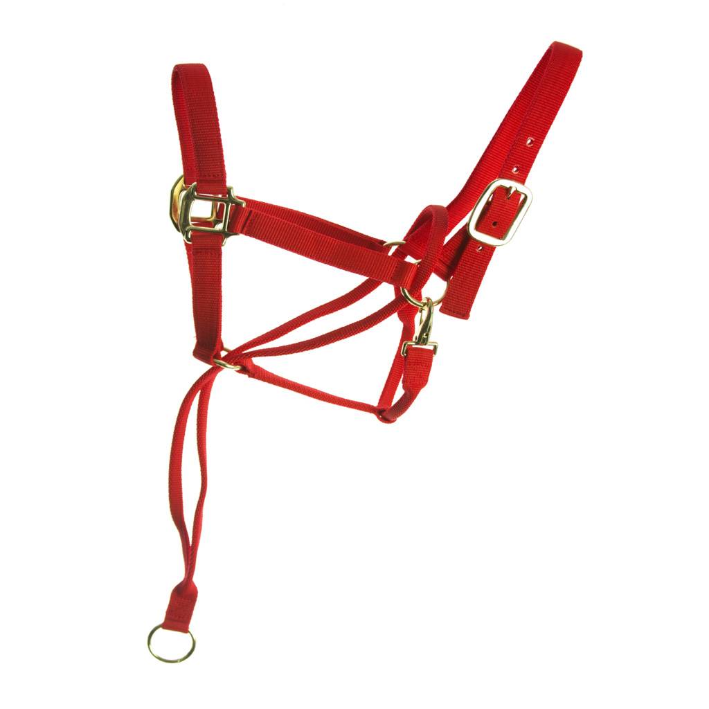 Basic Pull Back Training Halter