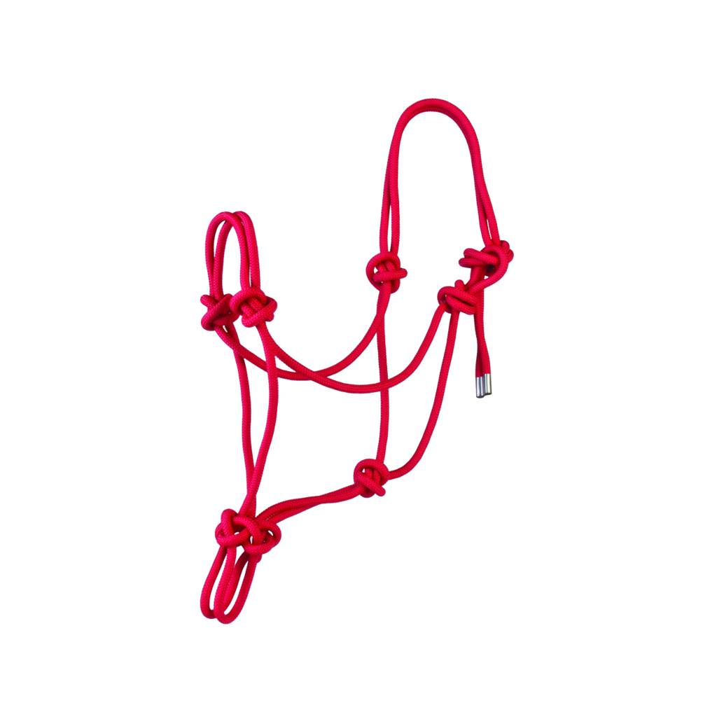 Basic Poly Rope Halter