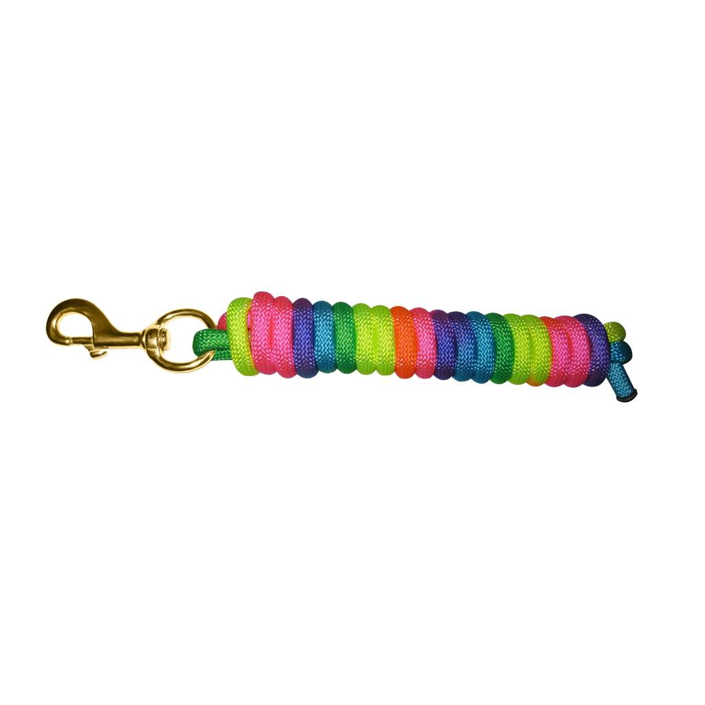 Basic Rainbow Poly Lead Rope with Bolt Snap