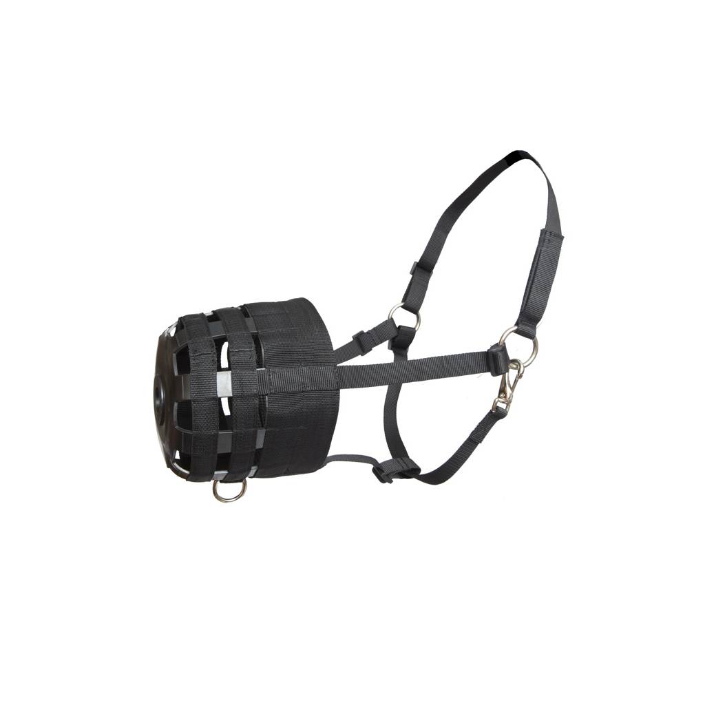 Economy Grazing Muzzle with Halter