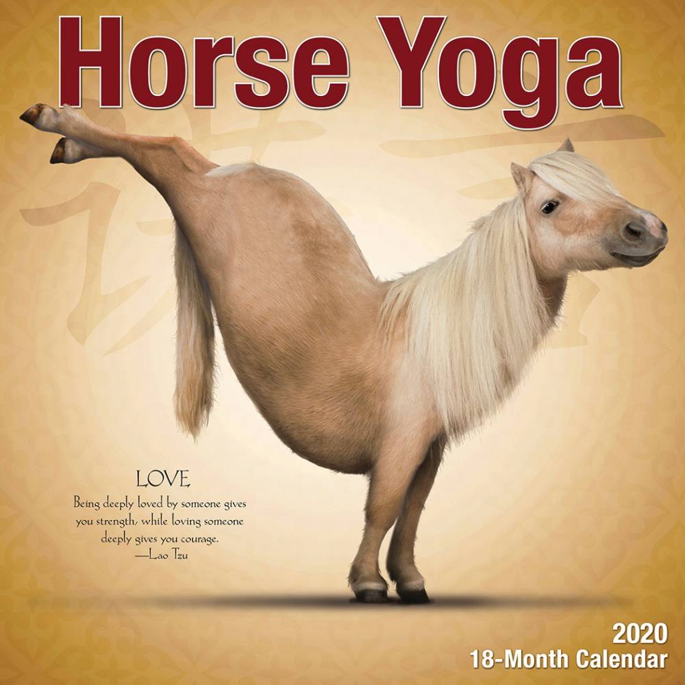 Kelley Horse Yoga 2020 Calendar EquestrianCollections