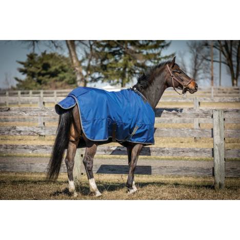 Super Hug 360g Heavyweight 2520D Turnout Blanket