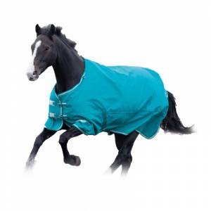 Shires Tempest Plus 1200D 200g Turnout Blanket