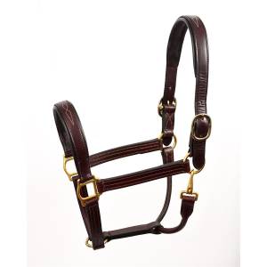 Perri's Fancy Stitched Leather Halter