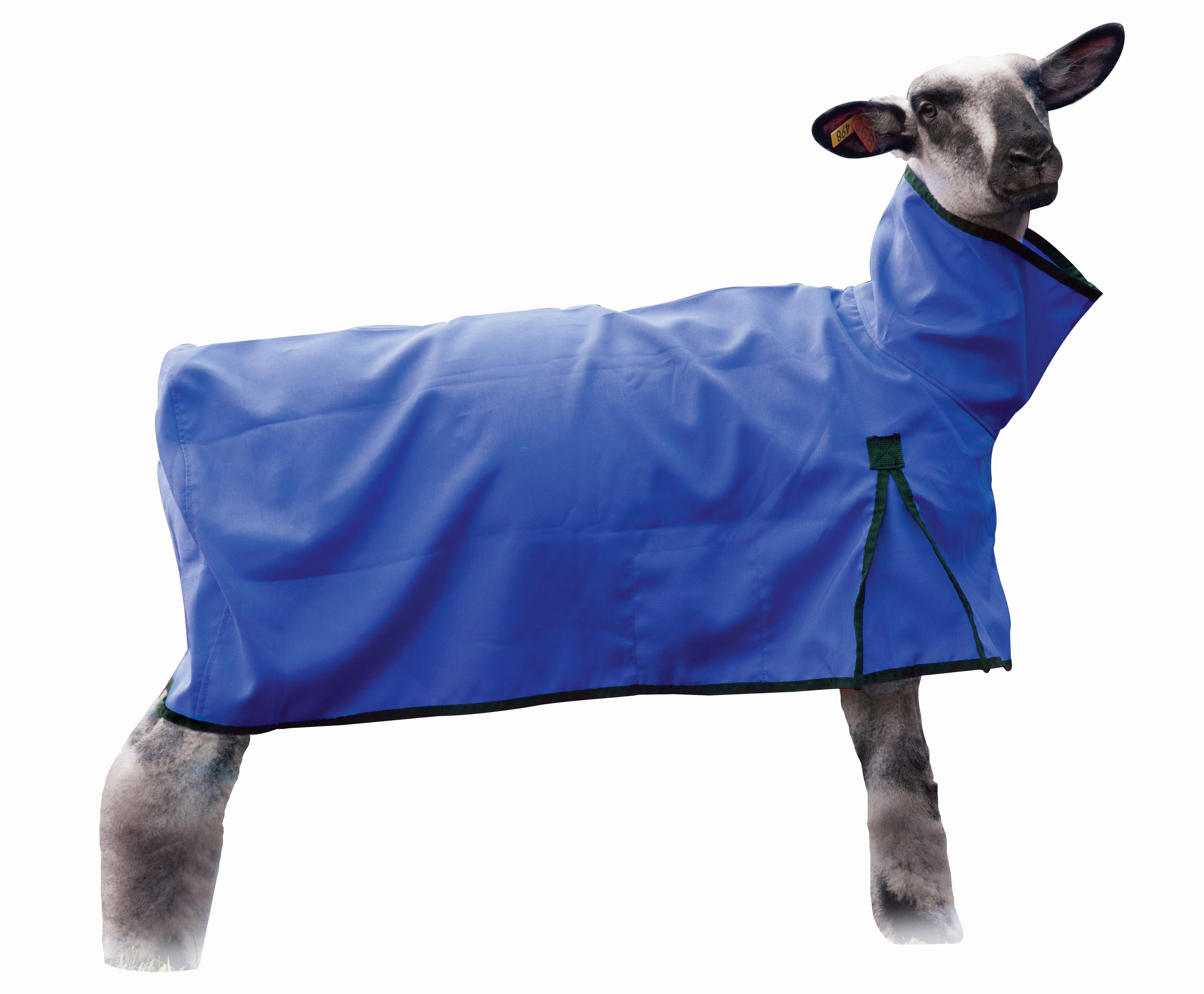 Weaver Sheep Blanket with Solid Butt