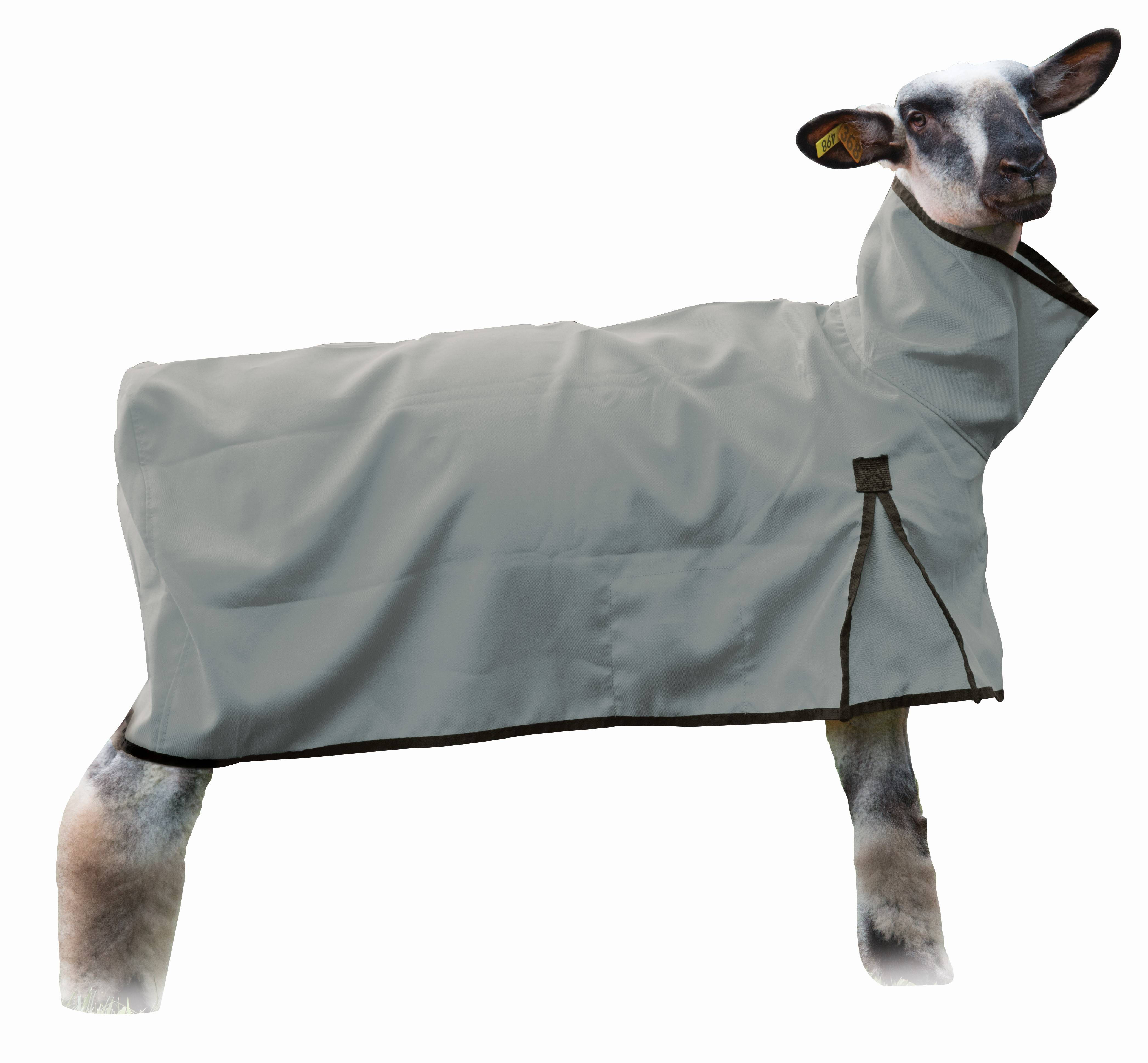 Weaver Sheep Blanket with Solid Butt