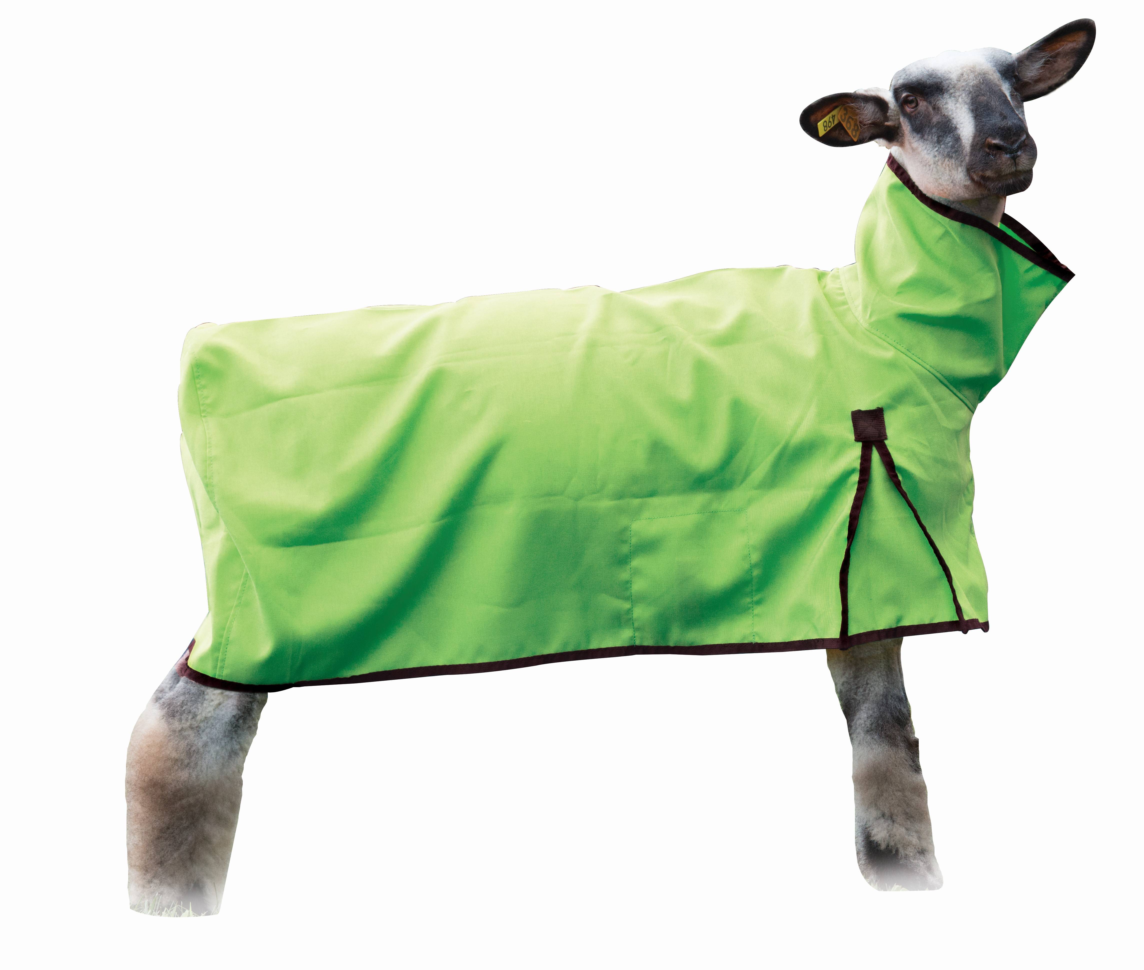 Weaver Sheep Blanket with Solid Butt