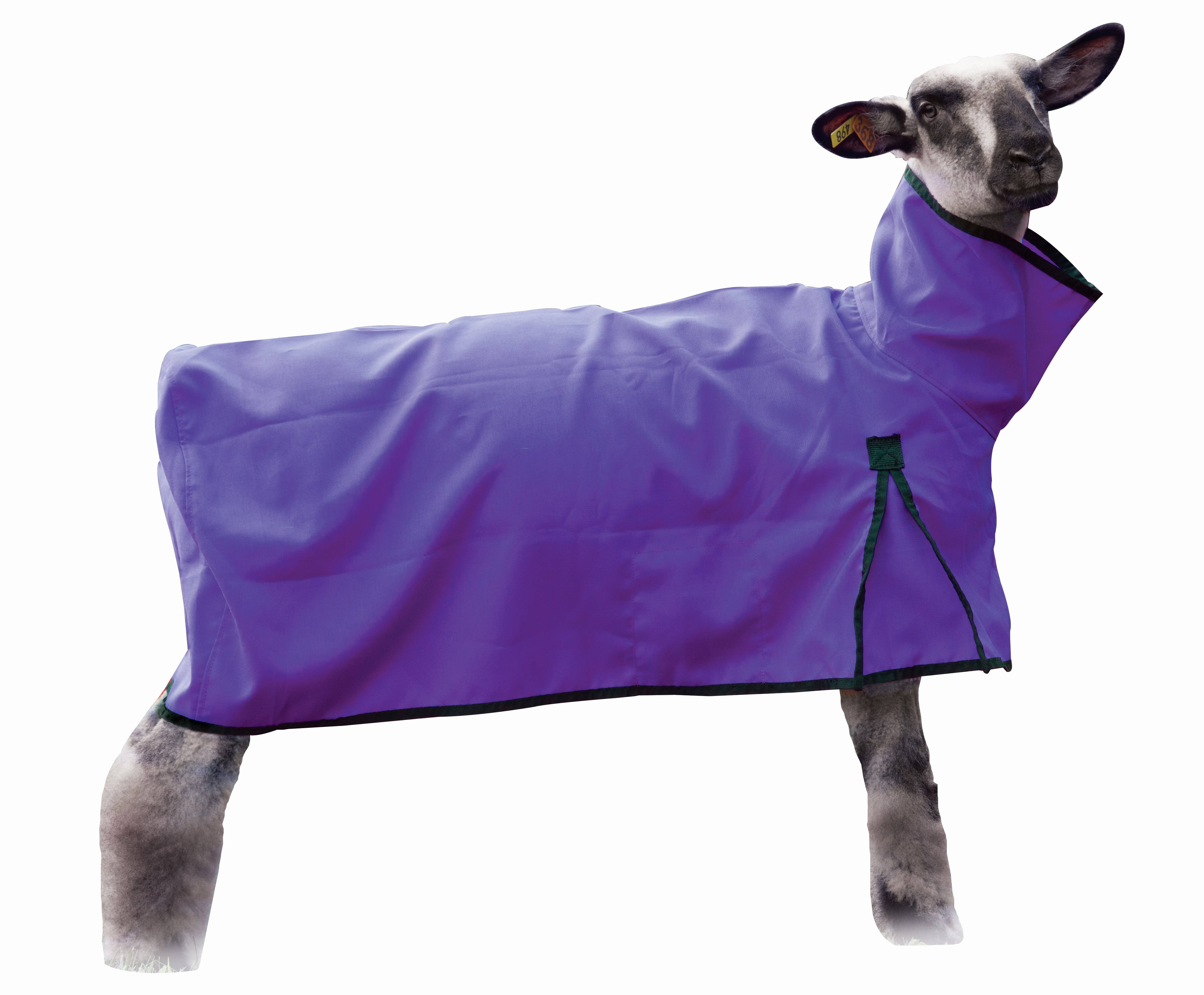 Weaver Sheep Blanket with Solid Butt