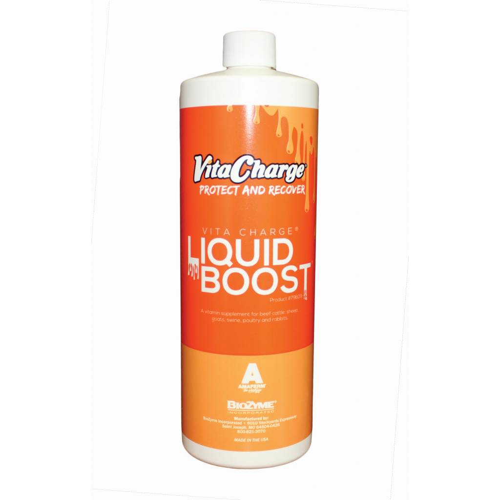 Vita Charge Liquid Boost